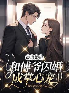 闪婚天价老公全文免费阅读