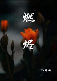 燃烬小说免费阅读姜海吟