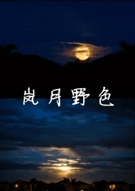 岚月夜小说百度云